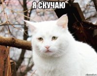 я скучаю 