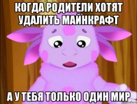 когда родители хотят удалить майнкрафт а у тебя только один мир
