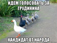 идём голосовать за грудинина кандидат от народа
