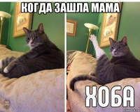 когда зашла мама 