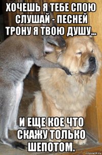 хочешь я тебе спою слушай - песней трону я твою душу... и еще кое что скажу только шепотом.