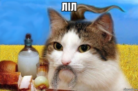 лiл 