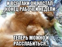 и все таки он настал - конец рабочей недели.. теперь можно и расслабиться...