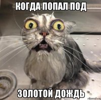 когда попал под золотой дождь