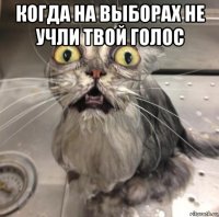 когда на выборах не учли твой голос 