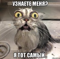 узнаете меня? я тот самый..