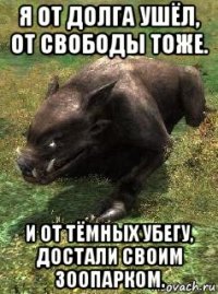 я от долга ушёл, от свободы тоже. и от тёмных убегу, достали своим зоопарком.