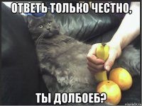 ответь только честно, ты долбоеб?