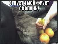отпусти мой фрукт сволочь! 