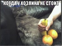 когда у хозяина не стоит 
