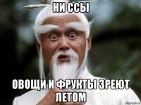 ни ссы овощи и фрукты зреют летом