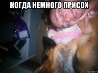 когда немного присох 