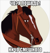 чо?я лошадь! ничо смешного