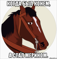 когда был конем, а стал мерином.