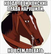 когда твои конские права нарушили, но всем плевать