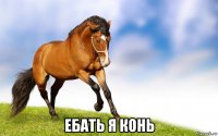  ебать я конь