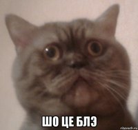  шо це блэ
