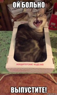 ой больно выпустите!