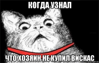 когда узнал что хозяин не купил вискас
