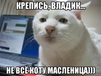 крепись, владик... не всё коту масленица)))