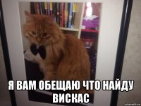  я вам обещаю что найду вискас