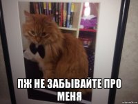  пж не забывайте про меня