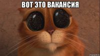 вот это вакансия 