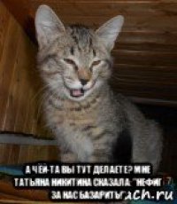  а чëй-та вы тут делаете? мне татьяна никитина сказала:"нефиг за нас базарить!"