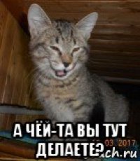  а чëй-та вы тут делаете?