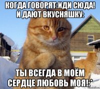 когда говорят:иди сюда! и дают вкусняшку: ты всегда в моём сердце любовь моя!:*