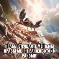  крабы слушайте меня,мы крабы мы не раки,не стоим раком!!!
