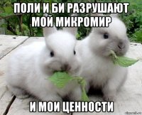 поли и би разрушают мой микромир и мои ценности