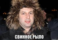 свинное рыло