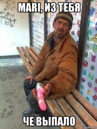 mari, из тебя че выпало