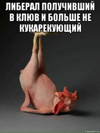 либерал получивший в клюв и больше не кукарекующий 