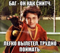 баг - он как снитч. легко вылетел, трудно поймать.