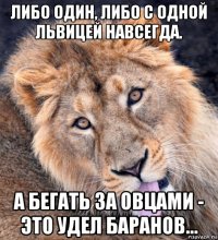 либо один, либо с одной львицей навсегда. а бегать за овцами - это удел баранов...