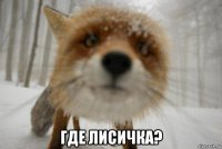  где лисичка?
