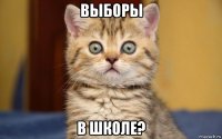 выборы в школе?