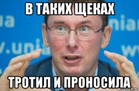 в таких щеках тротил и проносила