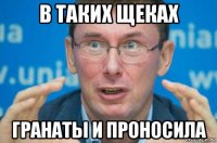 в таких щеках гранаты и проносила