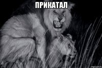 прикатал 