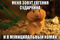 меня зовут евгения сударкина и я муниципальный хомяк