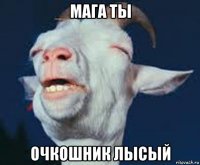 мага ты очкошник лысый