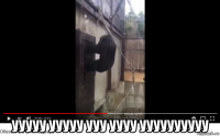 ууууу ууууу ууу уууу уууууууууу
