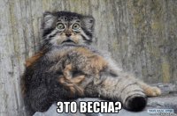  это весна?