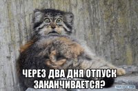  через два дня отпуск заканчивается?