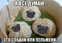 я всё думаю... это собаки или пельмени ?