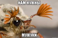 нам нужны мужуки