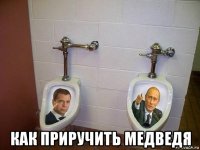  как приручить медведя
